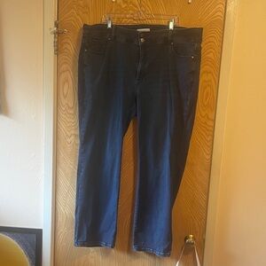 Lane Bryant Midnight Blue Denim Jeans